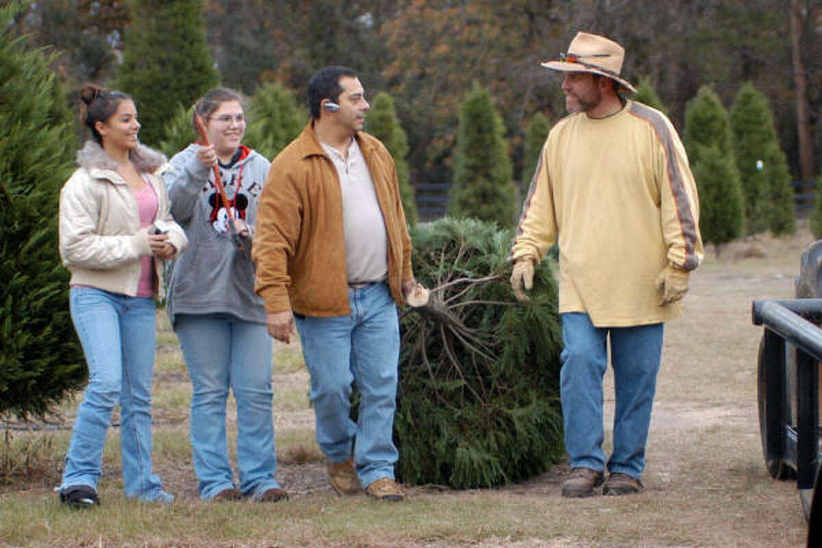 Meet the eco-friendly Christmas tree