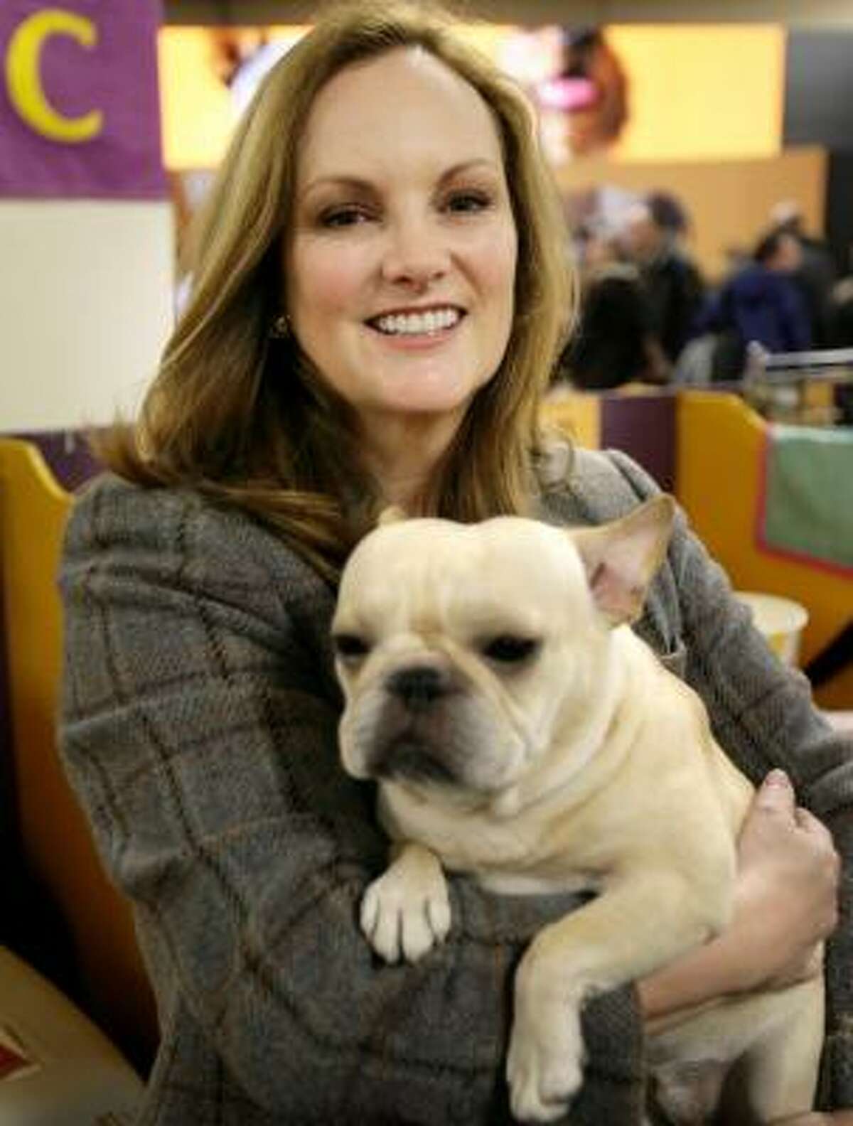 Hearst's bulldog shines at Westminster Dog Show