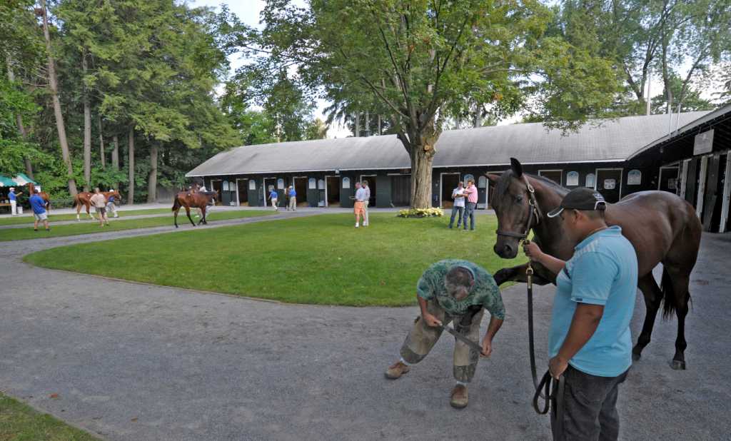 FasigTipton auctions tough to handicap