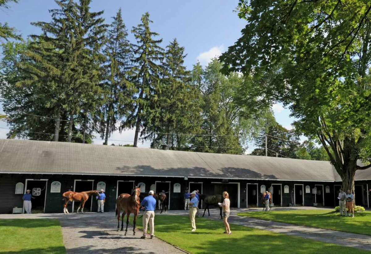 The yearling horses are coming in and some are already being inspected for sale purposes at the Fasig-Tipton sales grounds in Saratoga Springs, N.Y. August 5, 2011. The sales begin Monday evening August 7th at 7:00 P.M. (Skip Dickstein / Times Union)