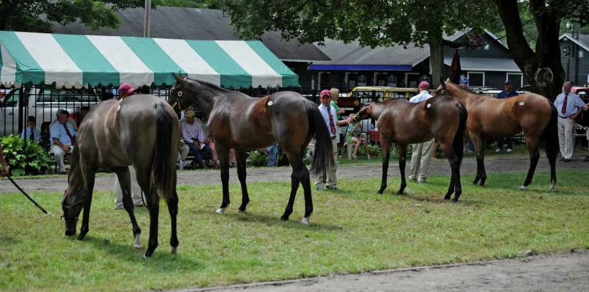 FasigTipton auctions tough to handicap