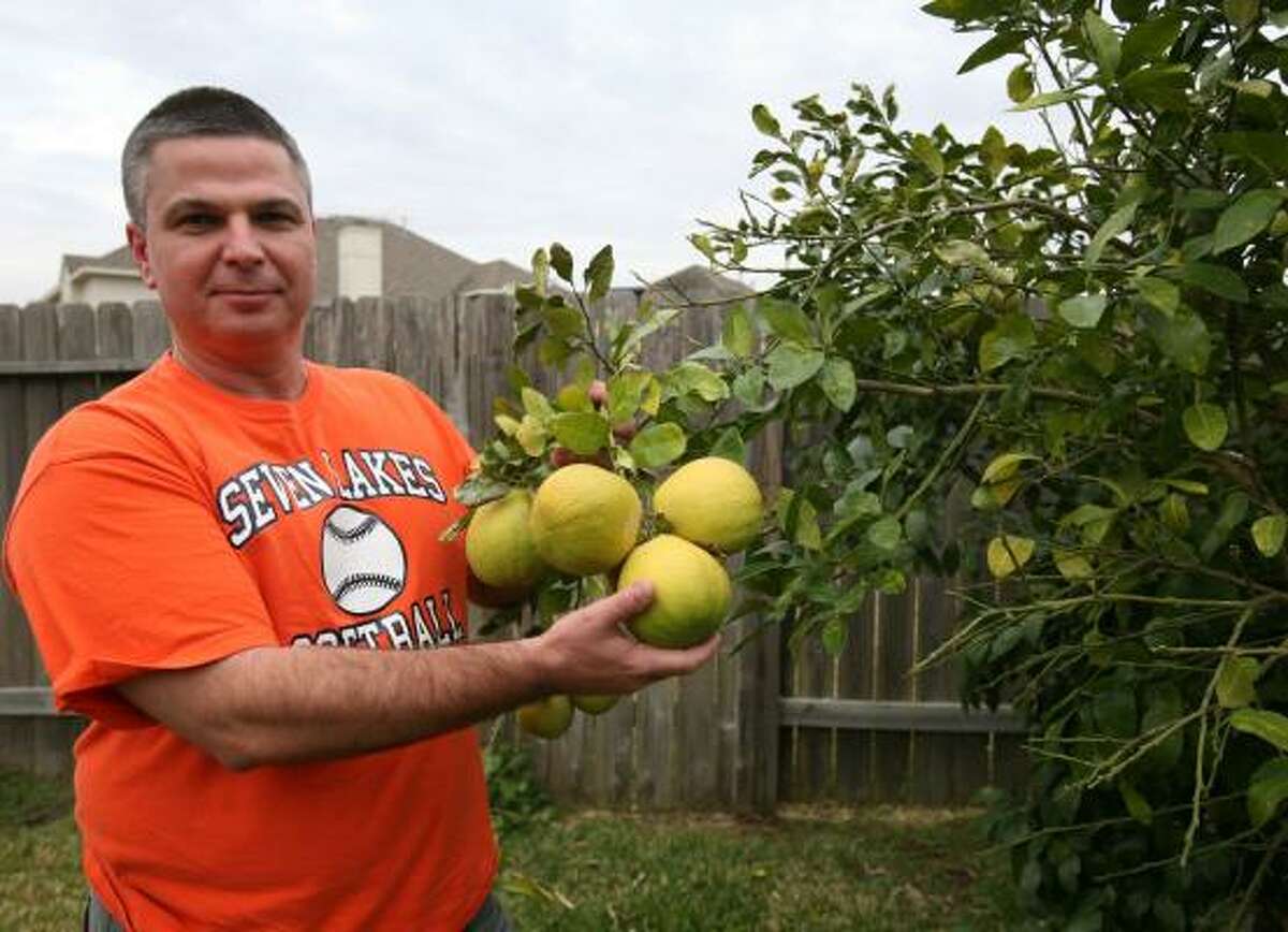 Katy Gardener Challenged By Exotic Fruit Trees W Photo