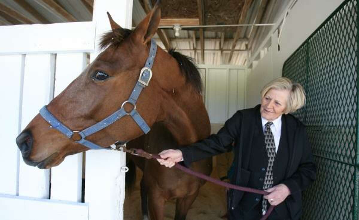 A.D. Carrol says Mailman Express, a 5-year-old thoroughbred bay gelding she received as a tip, is very docile and reserved. Carrol, of Sugar Land, said she hopes to visit him at least twice a month once she finalizes plans to place him at a stable.