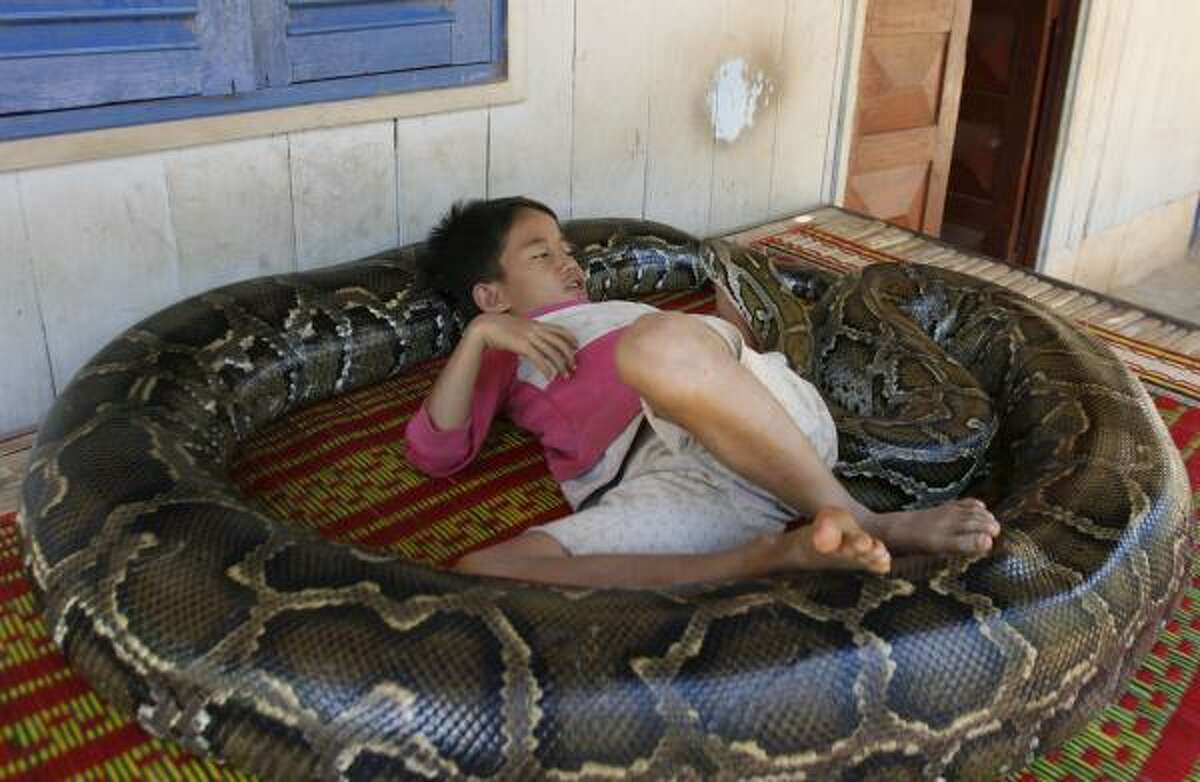 Seven-year-old Uorn Sambath, who lives in the Cambodian village of Setbo, spends time with the family pet. The reptile, named Chamroeun, slithered into the house as a younger — and much smaller — snake when Uorn was a baby.