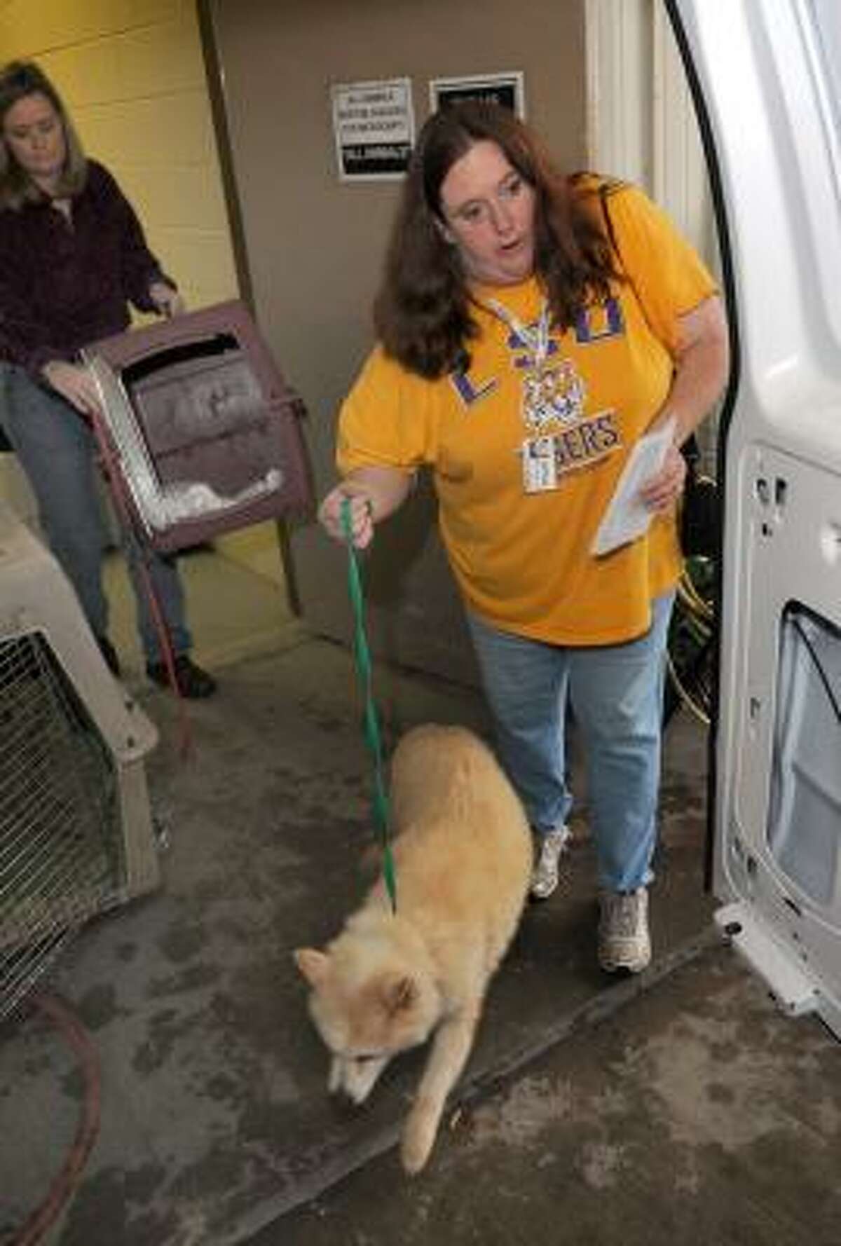 Woman agrees to close down animal-rescue facility