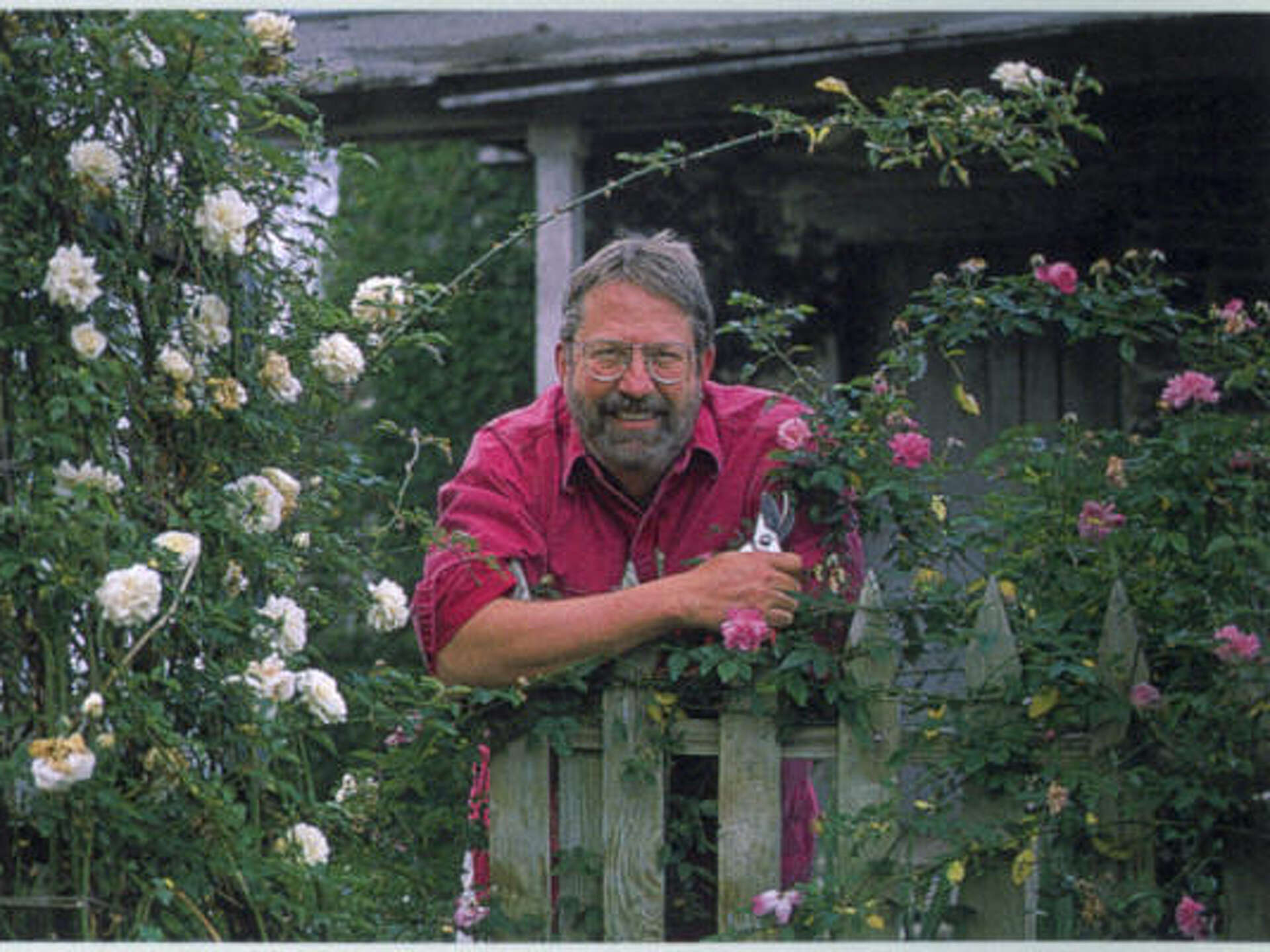 Q&A: G. Michael Shoup, Antique Rose Emporium