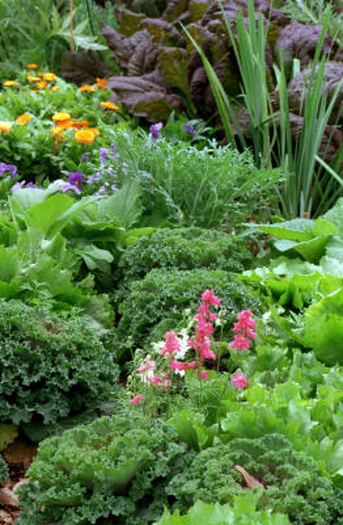 How to work vegetables into your front yard landscape