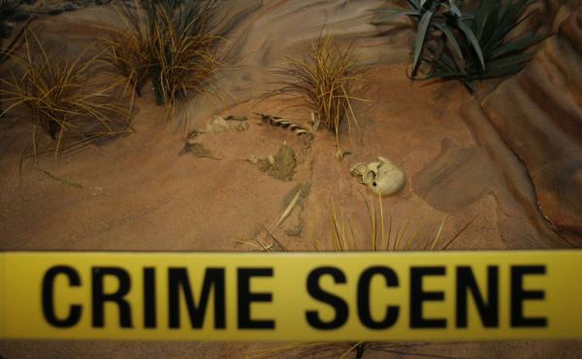 Gil and Sara kiss CSI: Las Vegas finale, image size:1920x1187