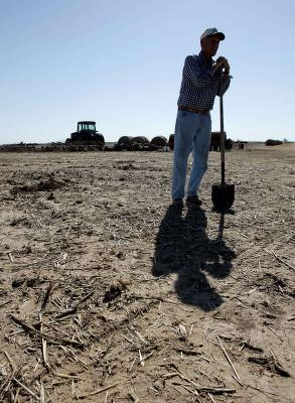 Drought has crop farmers taking gambles