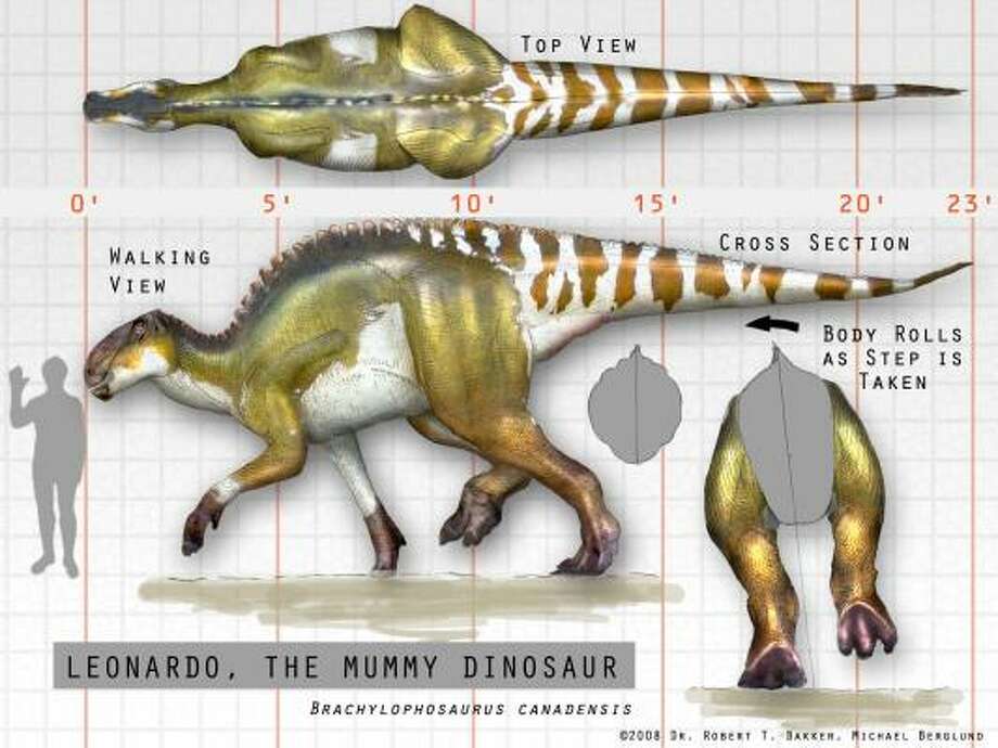 hadrosaur mummy