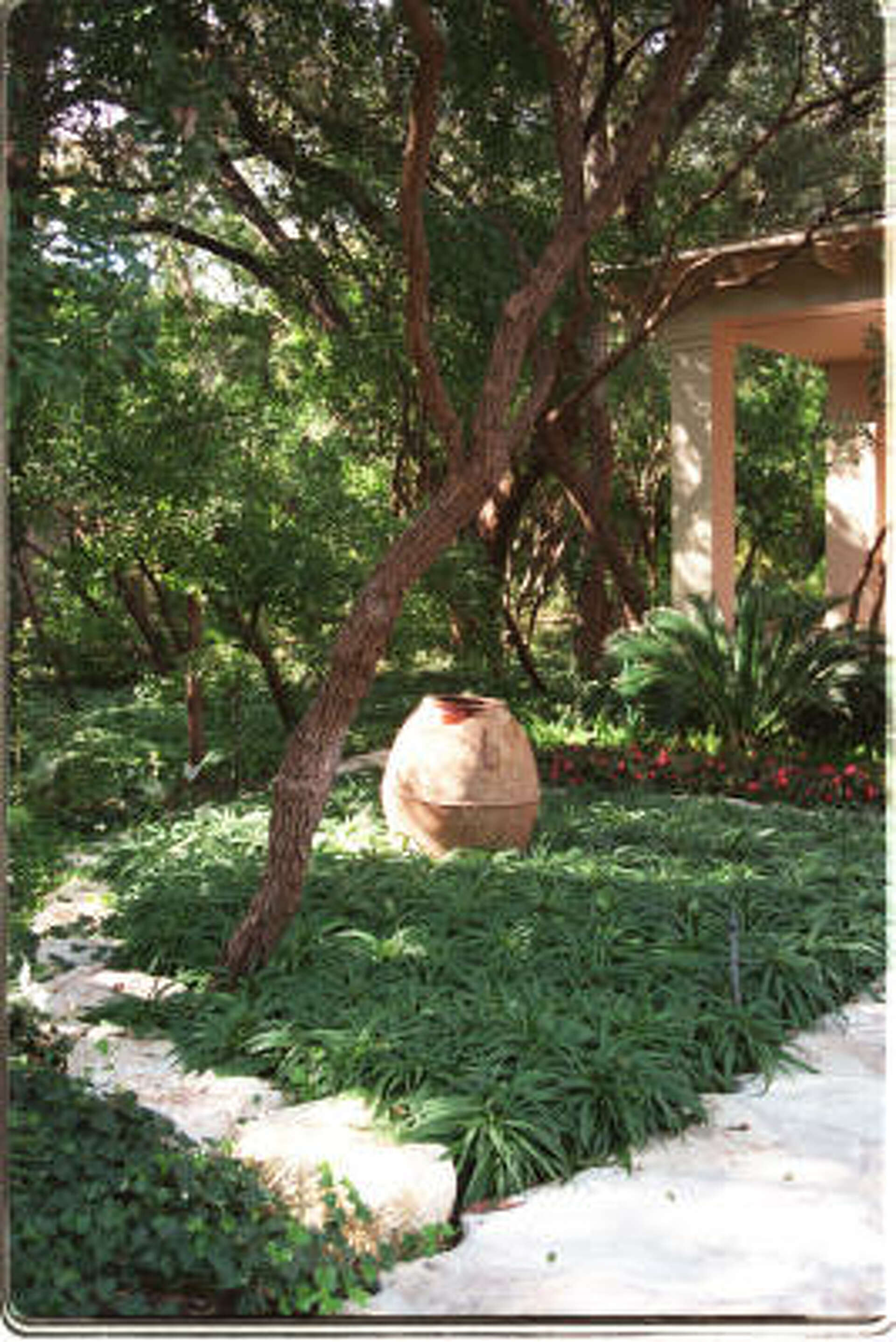 Groundcovers for shade