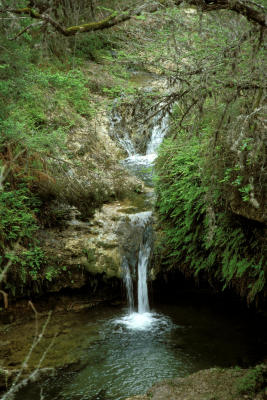 Pedernales Falls State Park