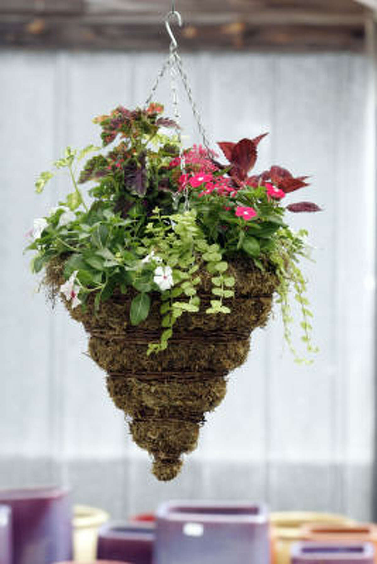 How to make a hanging basket