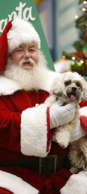 Pet pictures with Santa