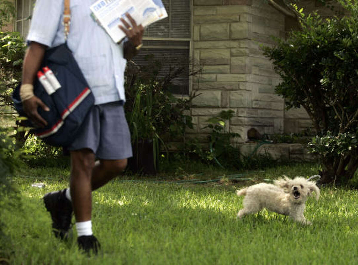 This letter carrier, who says he received two dog bites on his route, carries a repellent spray in the case of an attack.