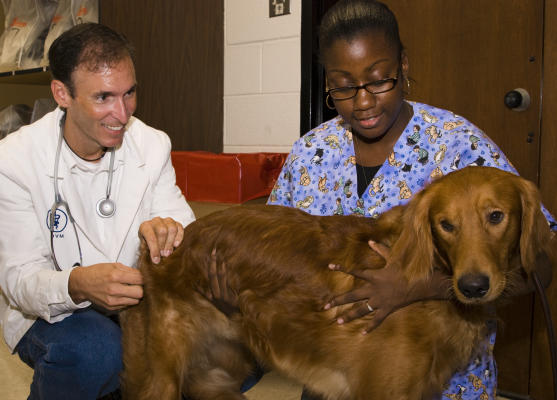 San Jac science club volunteers for World Rabies Day