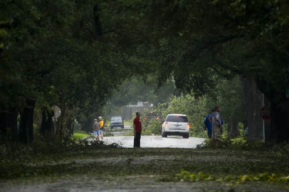 Ground cover| Residents survey the fallen limbs that litter Bayland Avenue in the Heights. | Sept. 13 | Houston Photo: Smiley N. Pool, Houston Chronicle