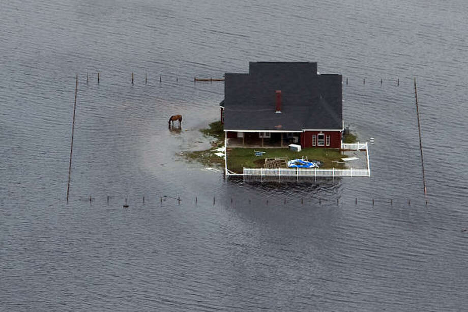 Cut off | A lone horse graces a flooded pasture surrounding a home as waters close in. | Sept. 14 | Winnie Photo: Smiley N. Pool, Houston Chronicle