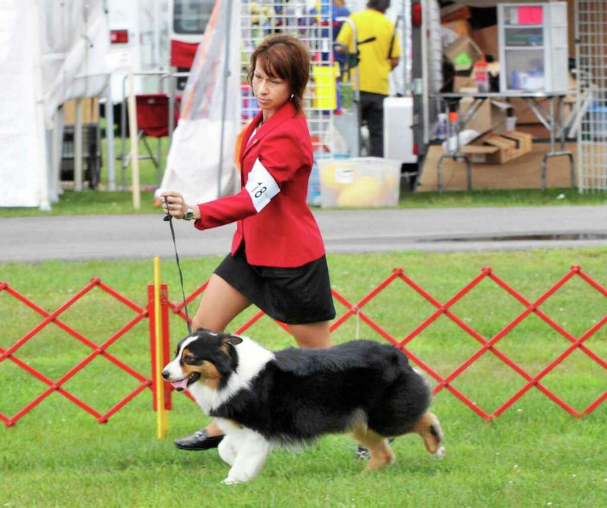 Photos Adirondack dog show