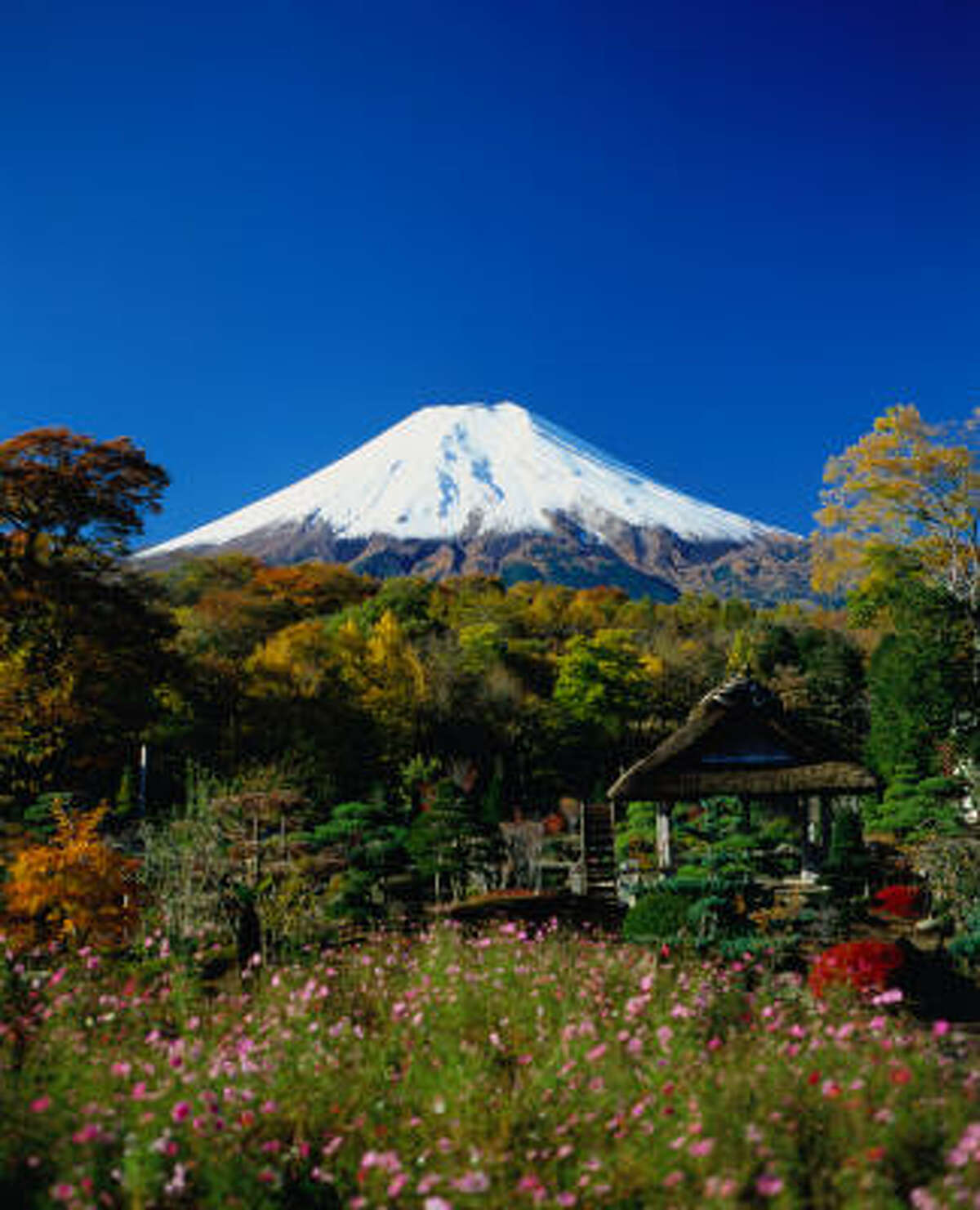 Savor Mount Fuji in full by hiking the ancient, untraveled Yoshidaguchi Trail through primeval forests and past centuries-old shrines.