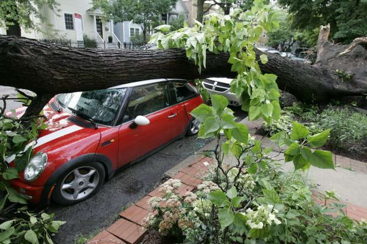 An uprooted tree crushes a car in Chicago Friday, a day after high winds and torrential thunderstorms pounded the region.