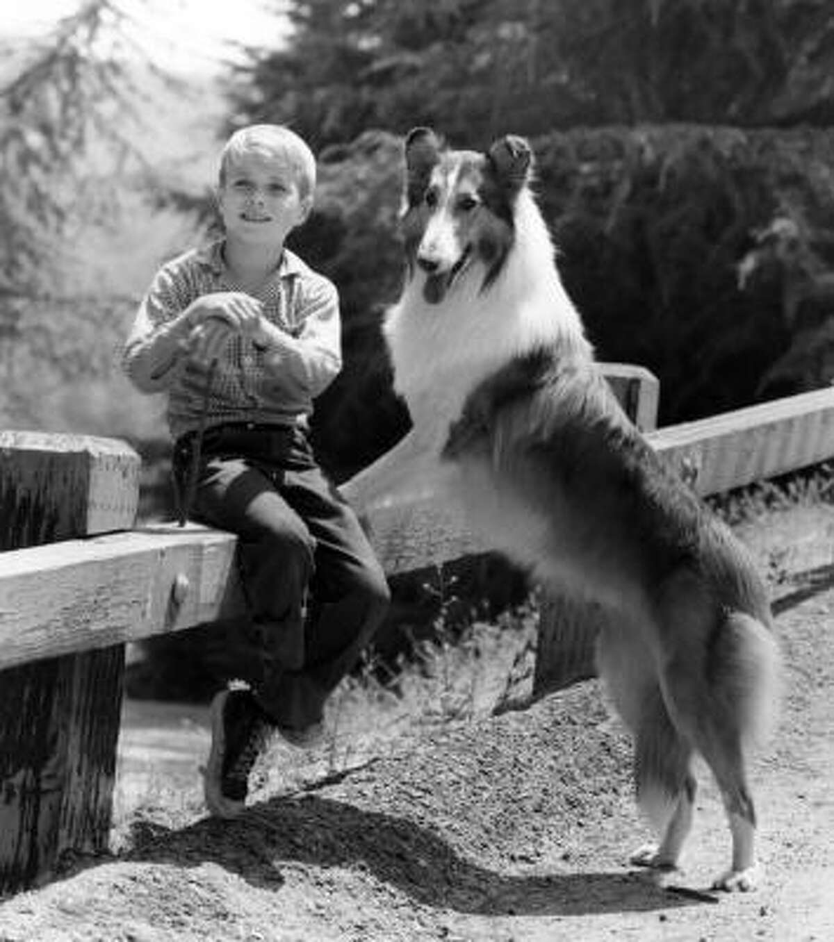 Longest-Running Television Series of All Time