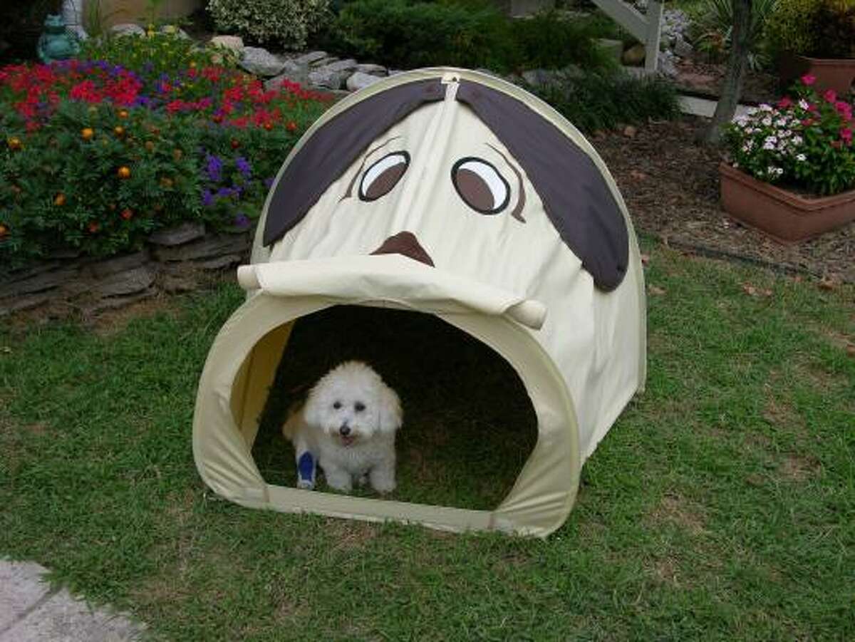 Dog hotsell poop tent