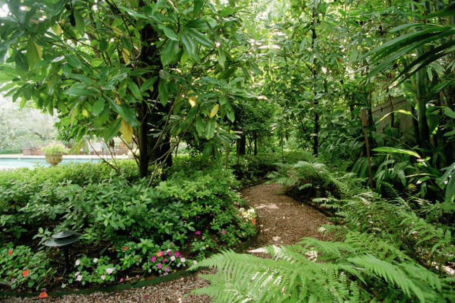 SHADE AND WOODLAND GARDENS - Houston Chronicle