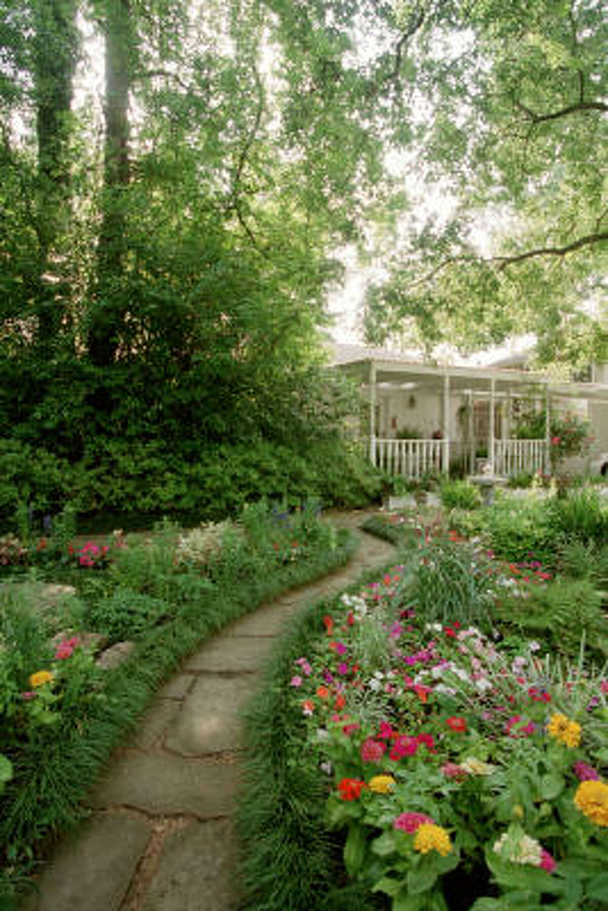 SHADE AND WOODLAND GARDENS