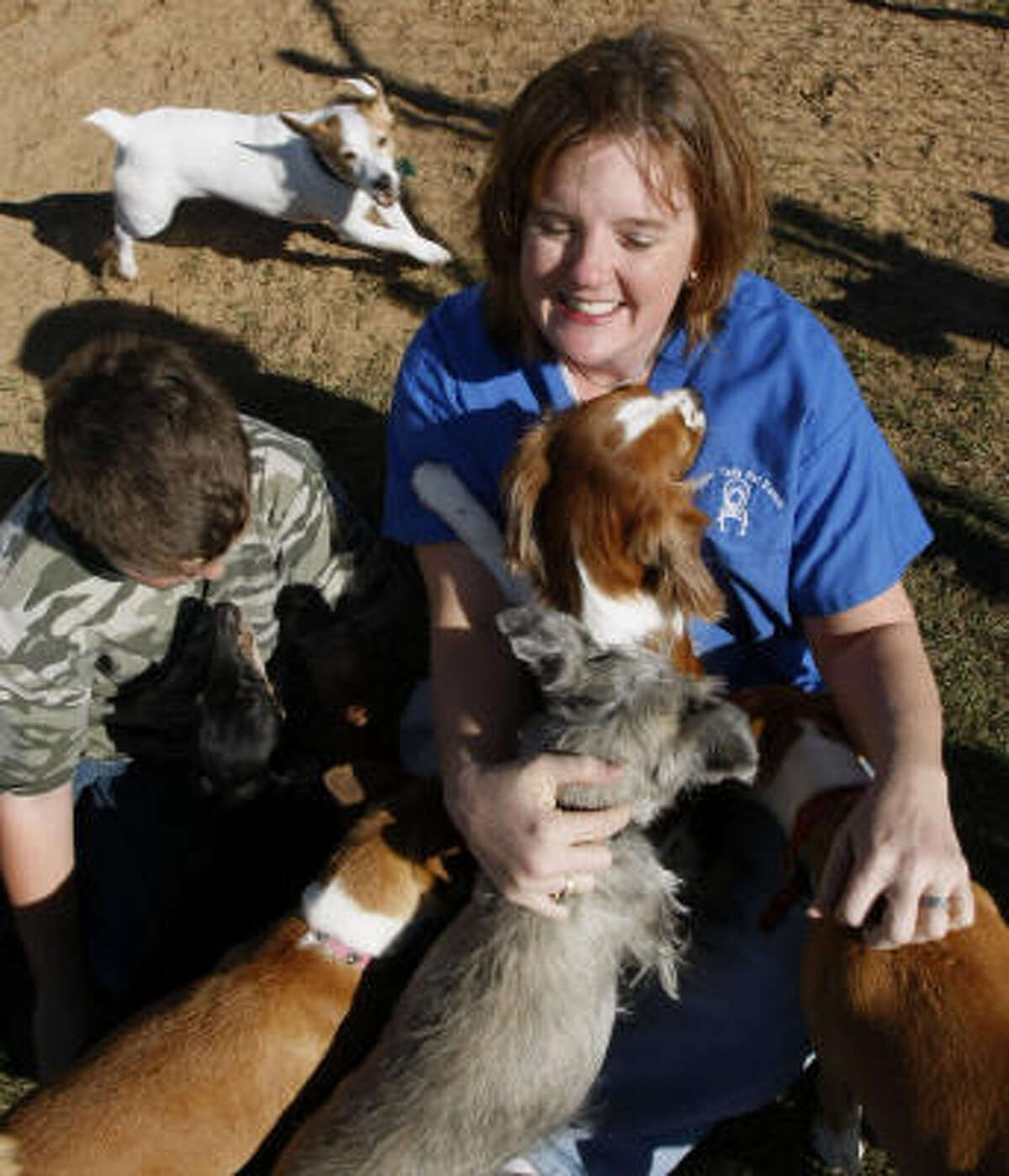 A day at waggin tails pet ranch
