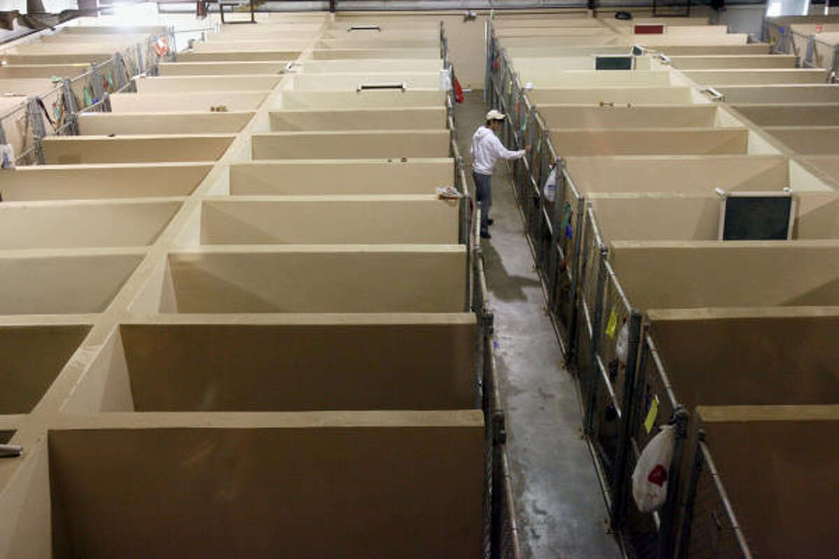 A day at waggin tails pet ranch