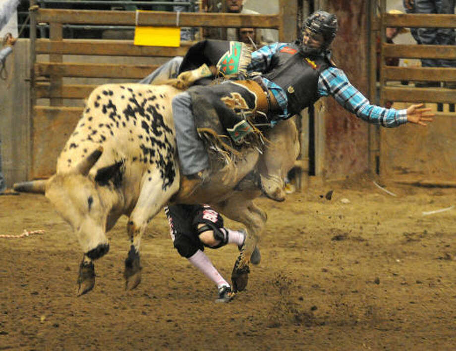 raising bulls for bull riding raising bulls for bull riding