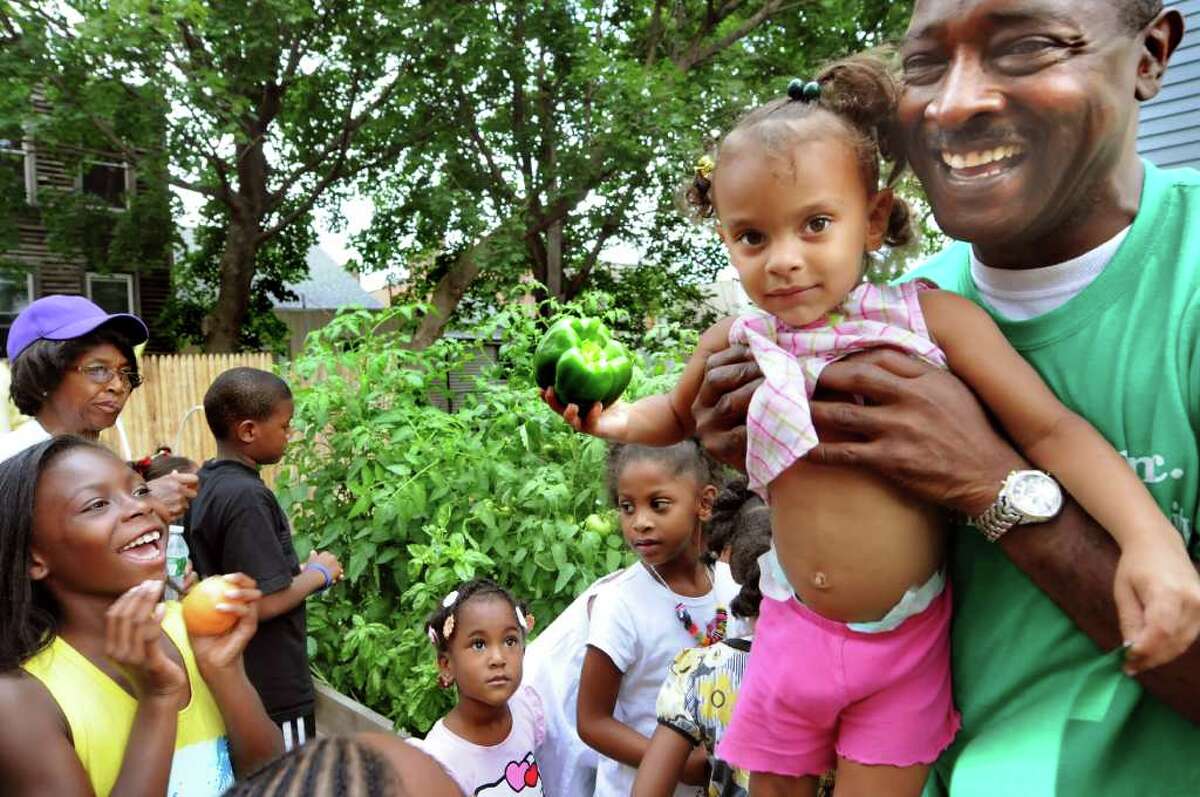 Saydee Hoke, 2, of Albany pulls a green pepper with the help of Willie White, president and founder of AVillage, at the newly dedicated children's garden on Thursday, Aug. 11, 2011, in Albany, N.Y. (Cindy Schultz / Times Union)