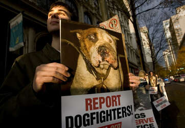 Michael Vicks Unpaid Dues Why Dog Advocates Arent Moving