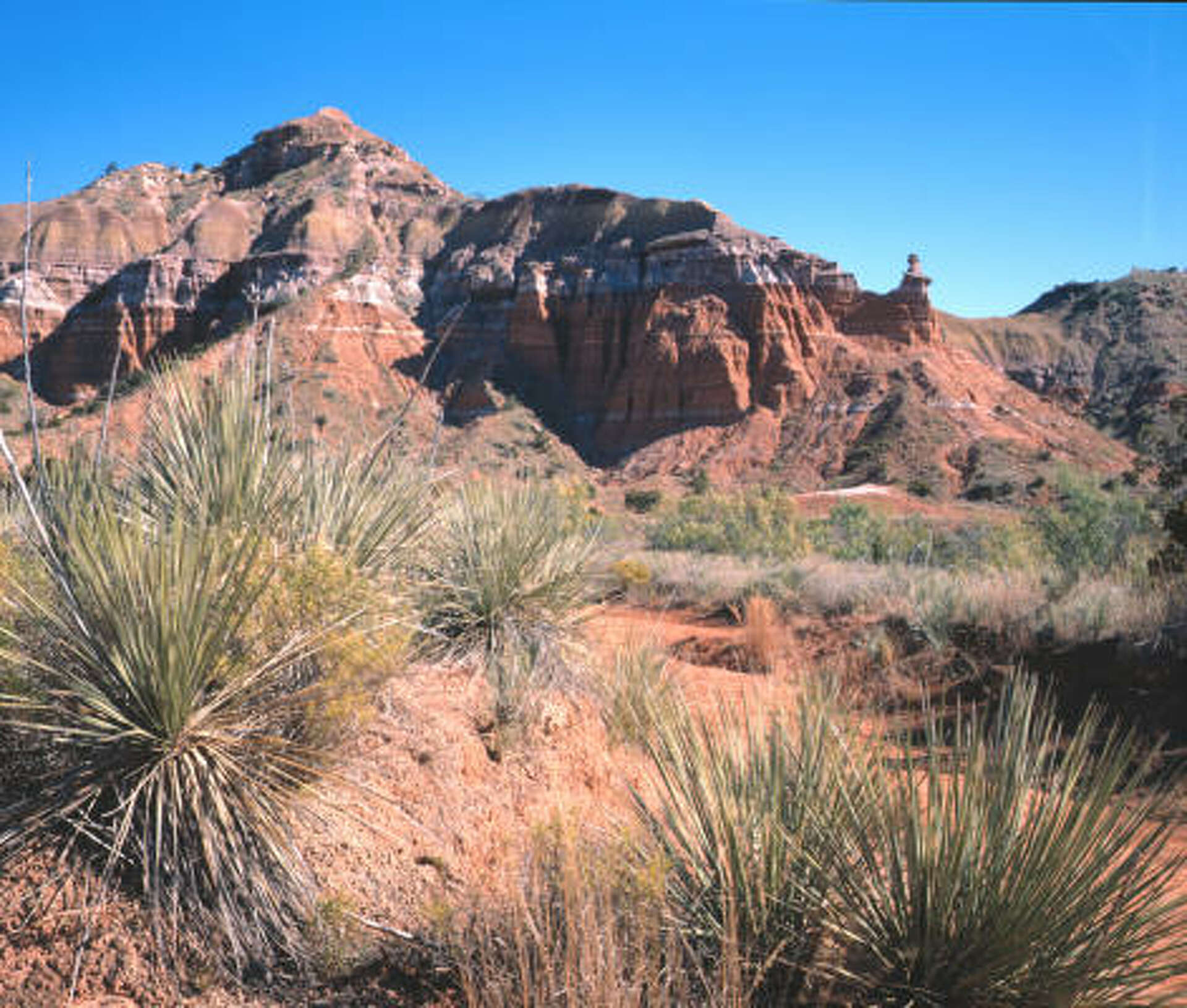 24 years later, Big Bend Ranch still a ranch for all Texans