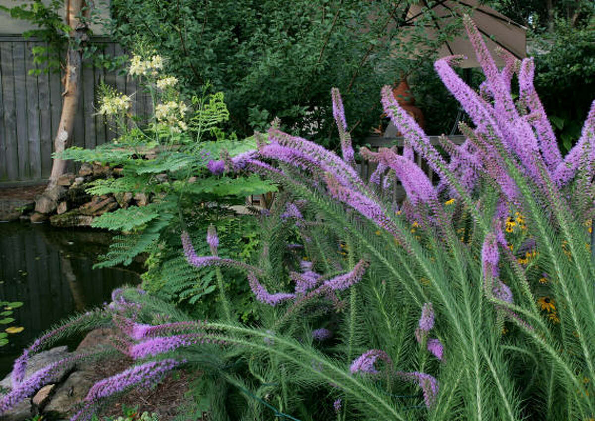 Butterfly and bird gardens
