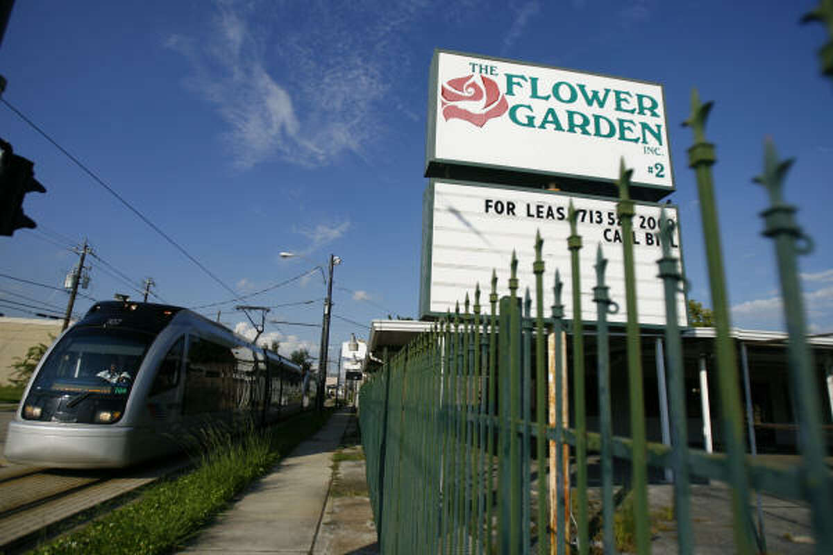 Picking flowers on Fannin Street