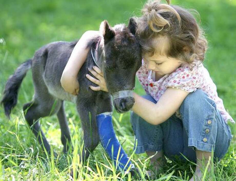 Воспитание детей животные. Домашние животные для детей. Дети с животными. Люди и животные. Детям о животных.