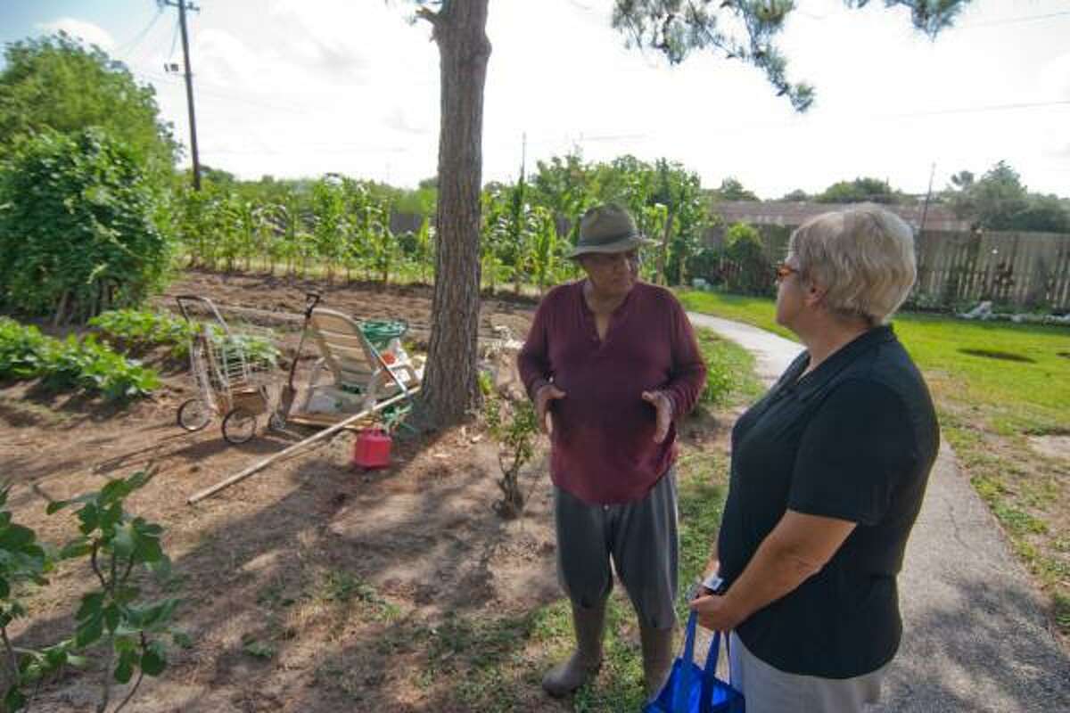 R. CLAYTON MCKEE: FOR THE CHRONICLE ROOM TO GROW: Tommy Loubon of Alief, who will assist with the Alief Community Garden, is shown with Barbara Quattro in his garden.