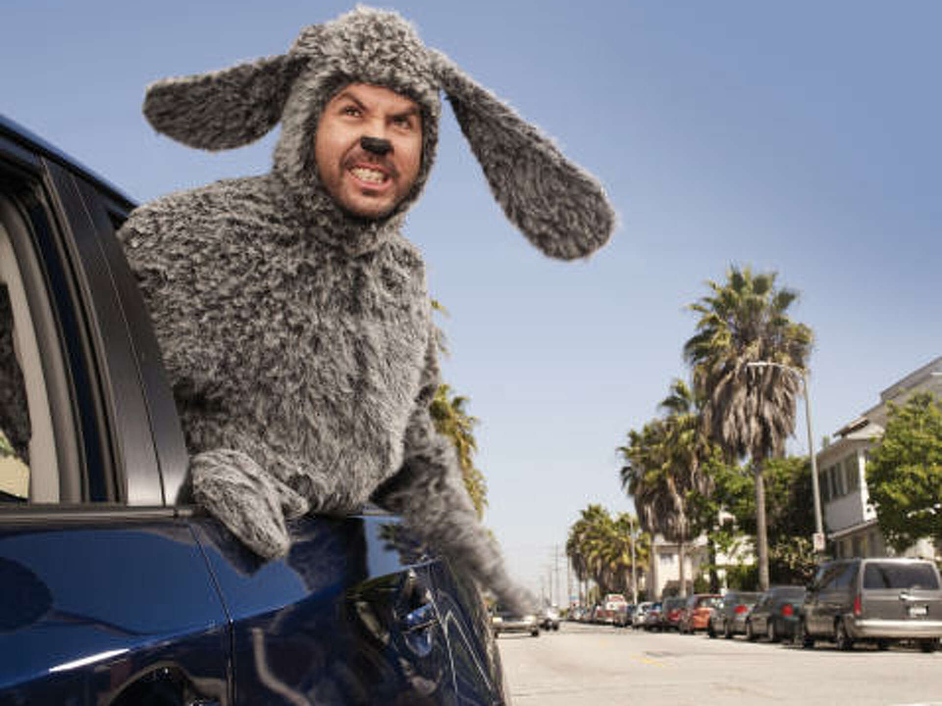 Wilfred: Not your typical dog next door, image size:1920x1440