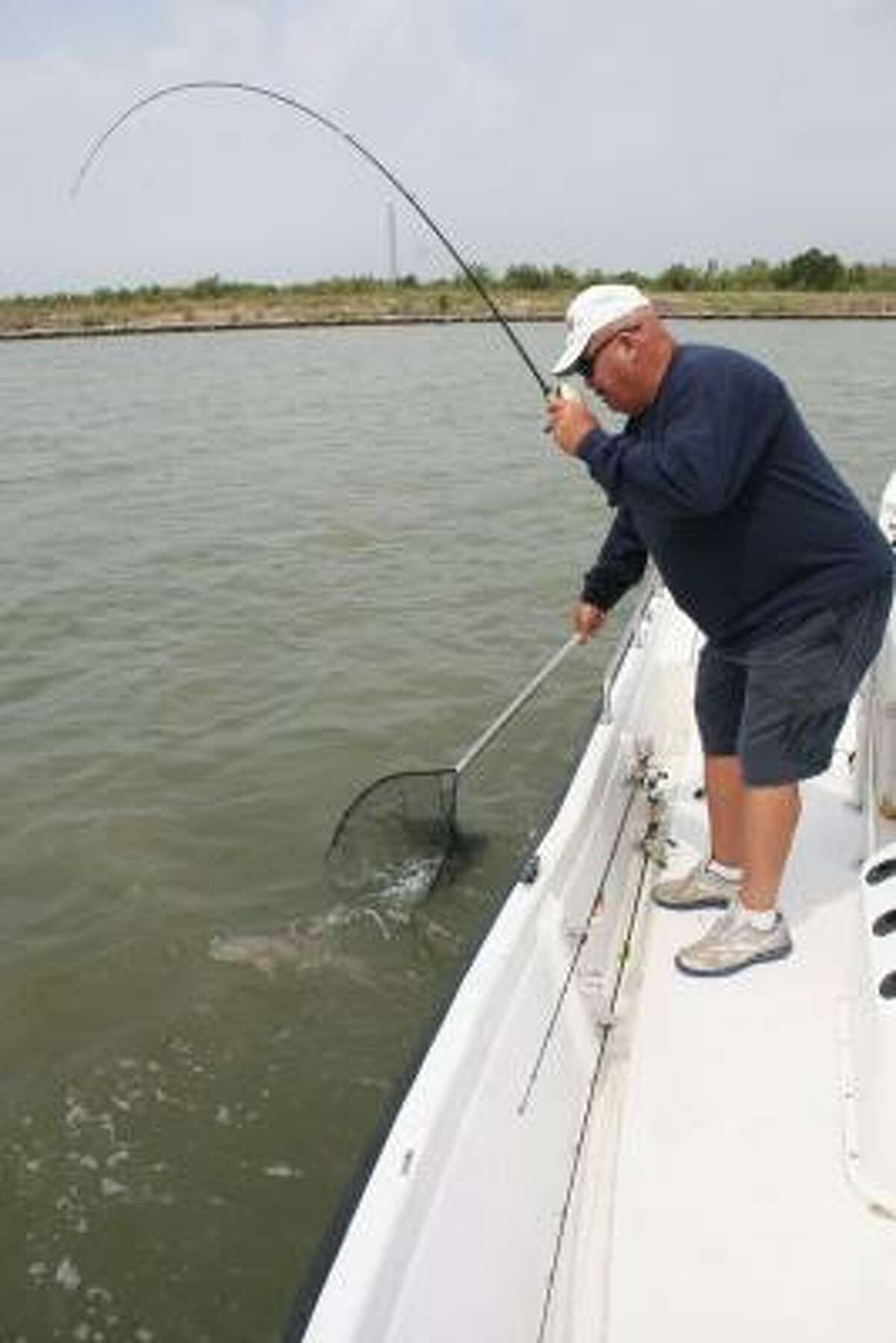 The catch rate of redfish in this spring's standardized gill net sampling of Galveston Bay was the highest recorded since the surveys began in the early 1980s.