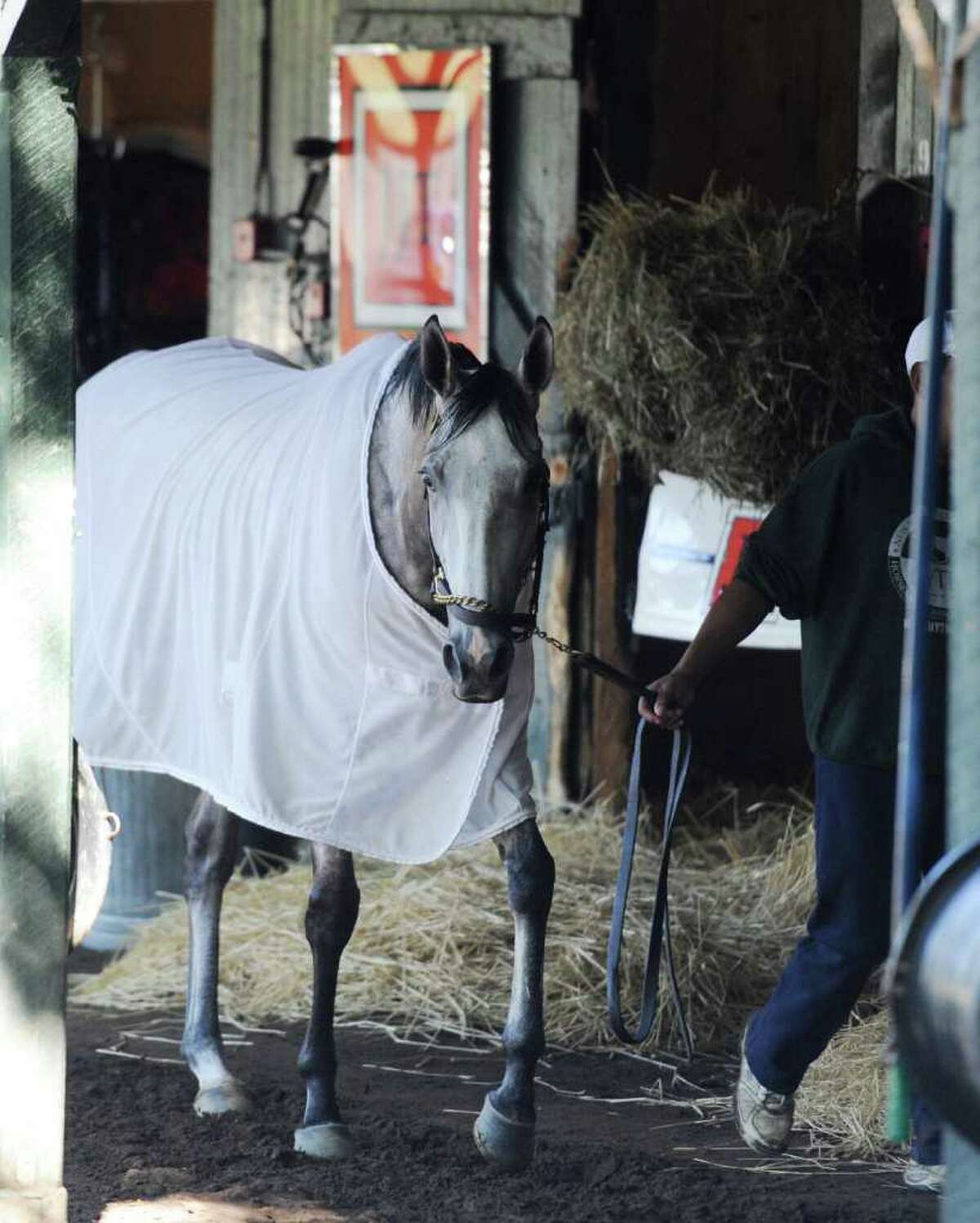 Quirky filly favored