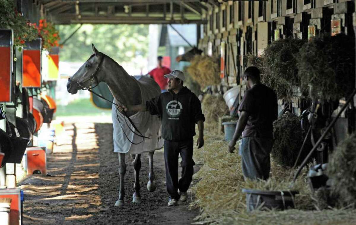 Quirky filly favored