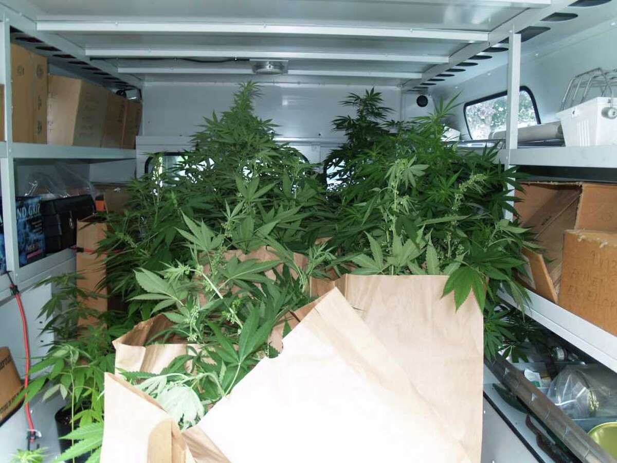 Cops Milford family was running pot operation out of home