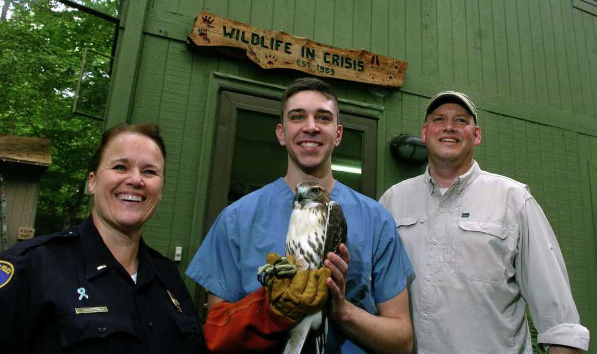 Stamford Police Lt. Beth Erickson, left, who rescued two red tailed hawks, one of which is being held by intern David Humes, poses at Wildlife in Crisis Inc. in Weston, Conn. on Thursday August 18, 2011. At right is the center's Assistant Director Peter Reid.