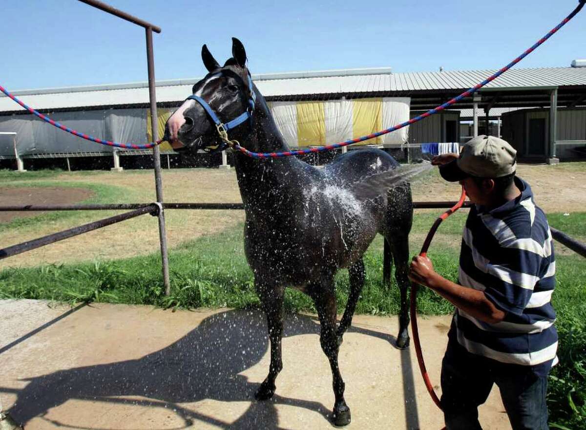 Retama trainers use horse sense dealing with heat