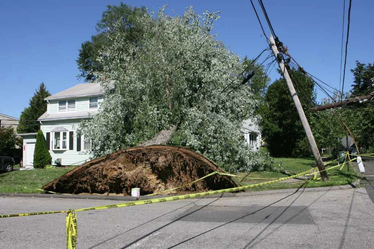 A tree sits on a telephone poll and a home on the corner of Eastern Pkwy and River Cliff in Milford on Monday August 28, 2011. The tree went down during hurricane Irene.