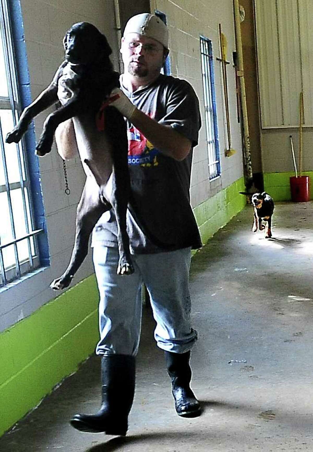 Humane Society of Southeast Texas cares for more than 1,000 animals