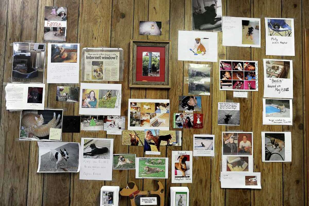 Humane Society of Southeast Texas cares for more than 1,000 animals