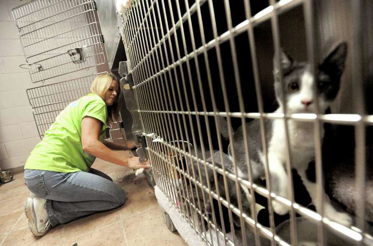 Humane Society of Southeast Texas cares for more than 1,000 animals